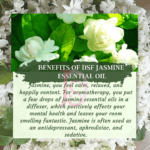 Jasmine essential oil, jasmine oil, jasmine oil perfume