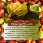 png_20230511_225637_0000