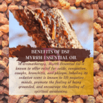 png_20230512_000309_0000