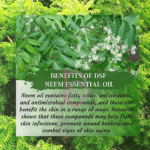 png_20230512_001724_0000