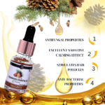 png_20230520_013238_0000