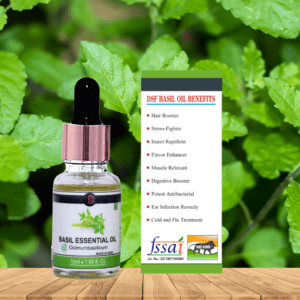 Pure Basil Essential Oil - Herbal Vitality: Energizing and Restorative