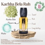 png_20230620_100540_0000