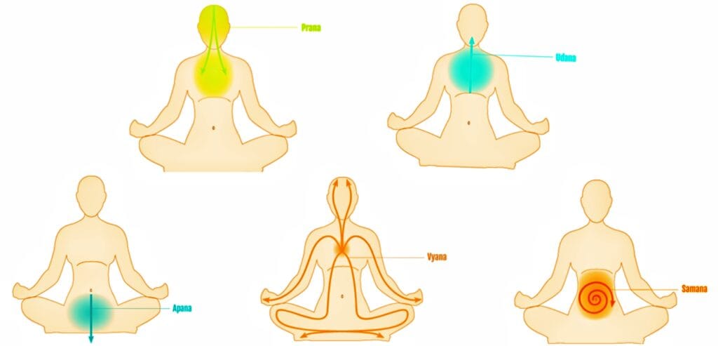 5 meditation oils
